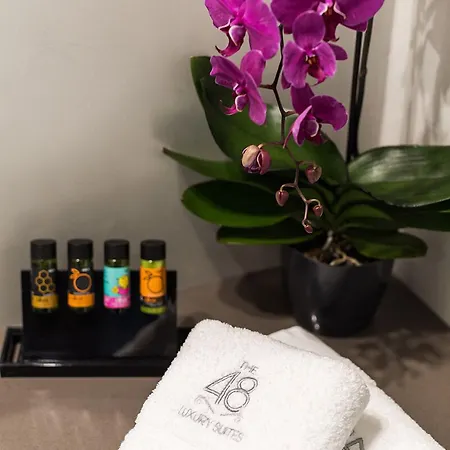 بيت ضيافة The48suites 4*